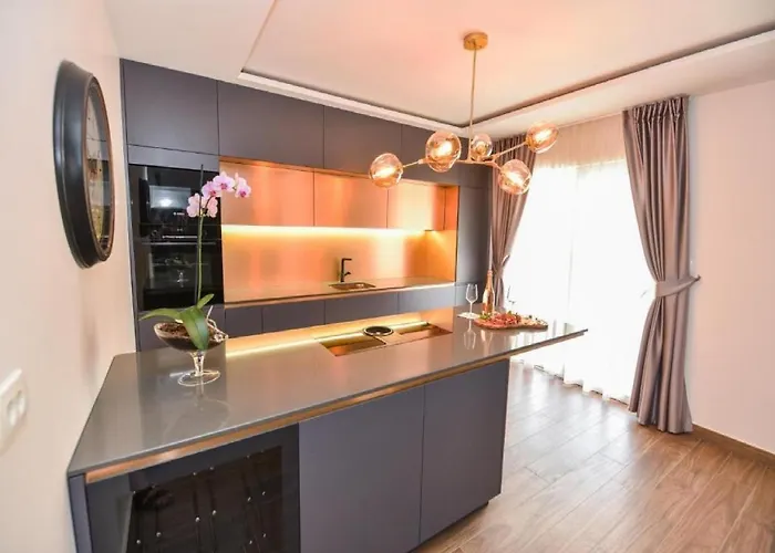 Calypso Royal Ζαντάρ